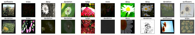 Flower dataset sample images