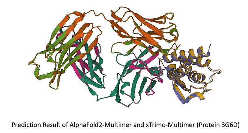 Protein Interaction Model