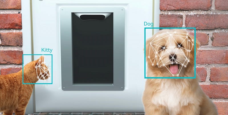 Innovative pet door with facial recognition