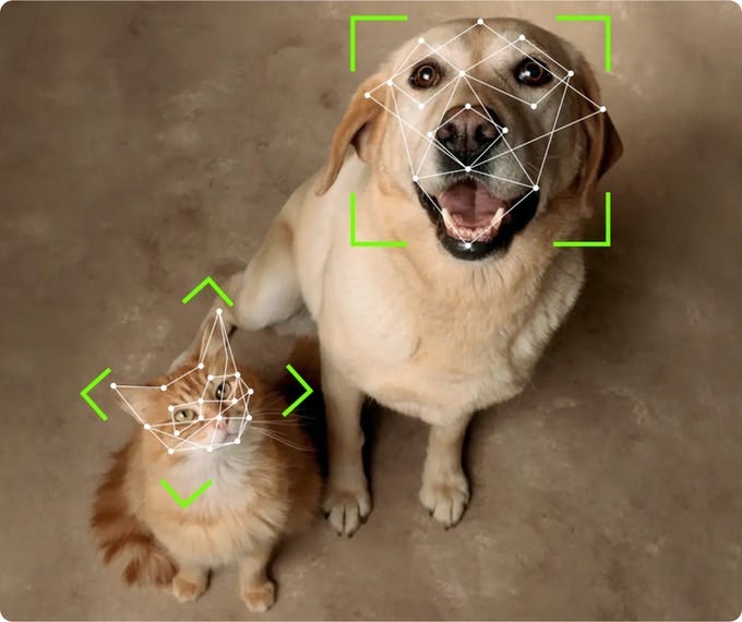 Infrared camera for night recognition