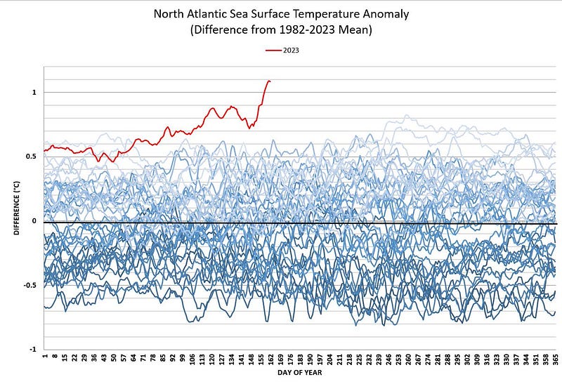 Graph showcasing sea surface temperature anomalies