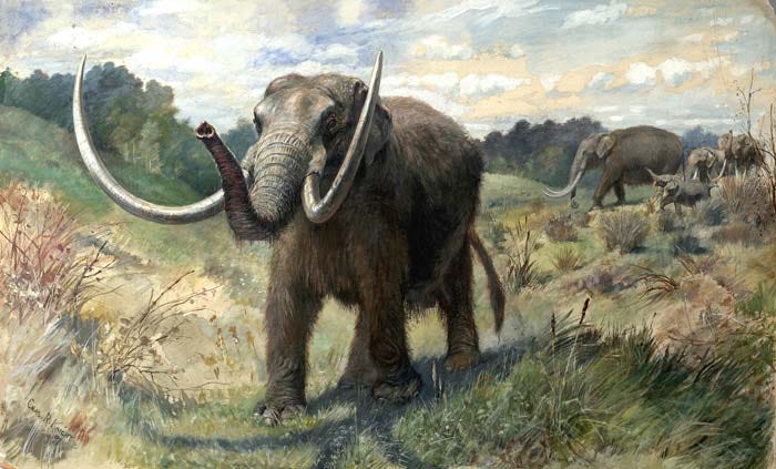 Artistic depiction of a mastodon