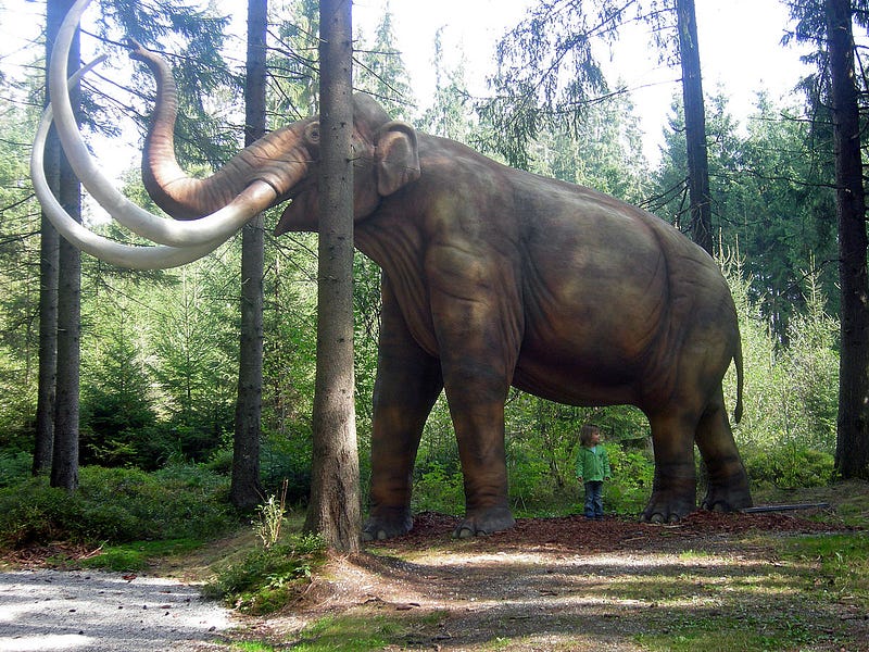 Reconstruction of a mastodon in its habitat