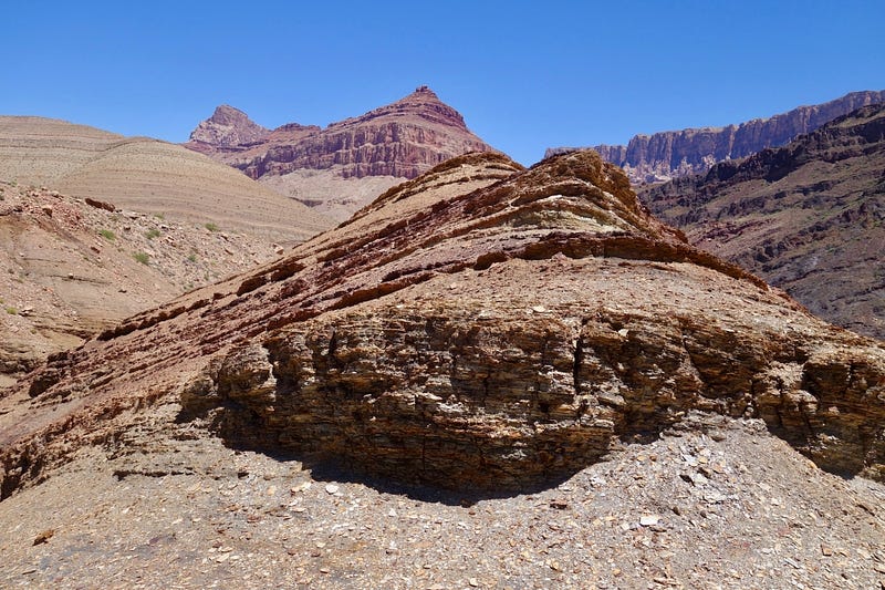 Ancient marine environments preserved in rock layers