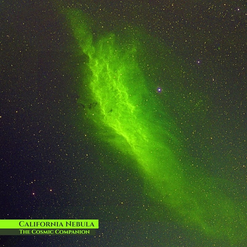 The California Nebula shining in the night sky