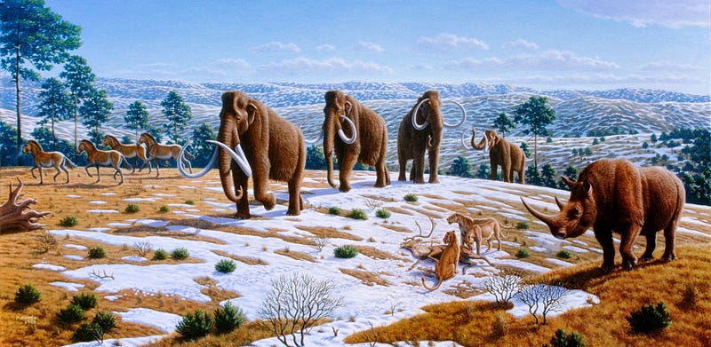 Climate changes during ice ages