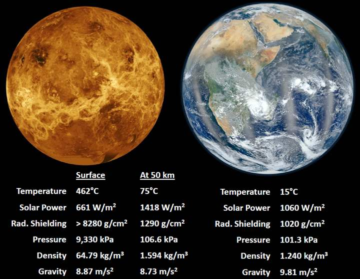 The contrasting paths of Venus and Earth