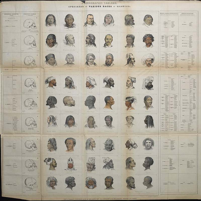 Ethnographic tableau representing various human races.