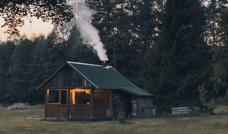 Childhood memories of summer in the woods