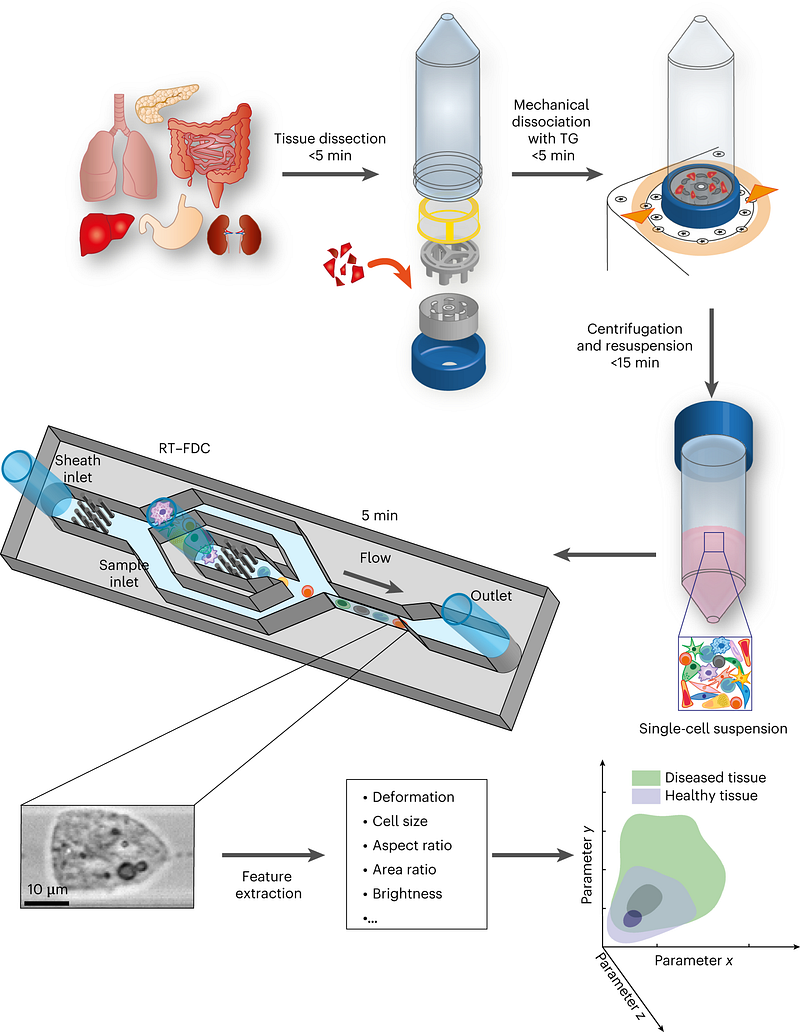 Advanced cancer diagnosis technology