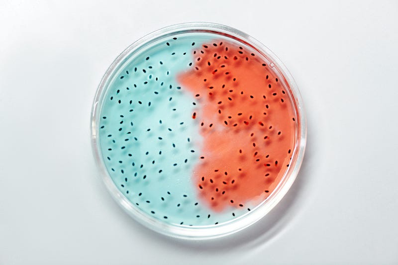 Diagram illustrating the concept of genetic modification