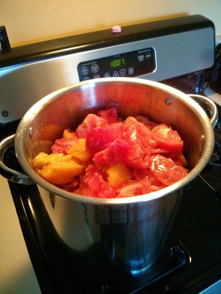 Homemade marinara sauce simmering on the stove