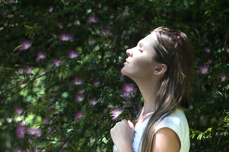 Photosynthesis process in action