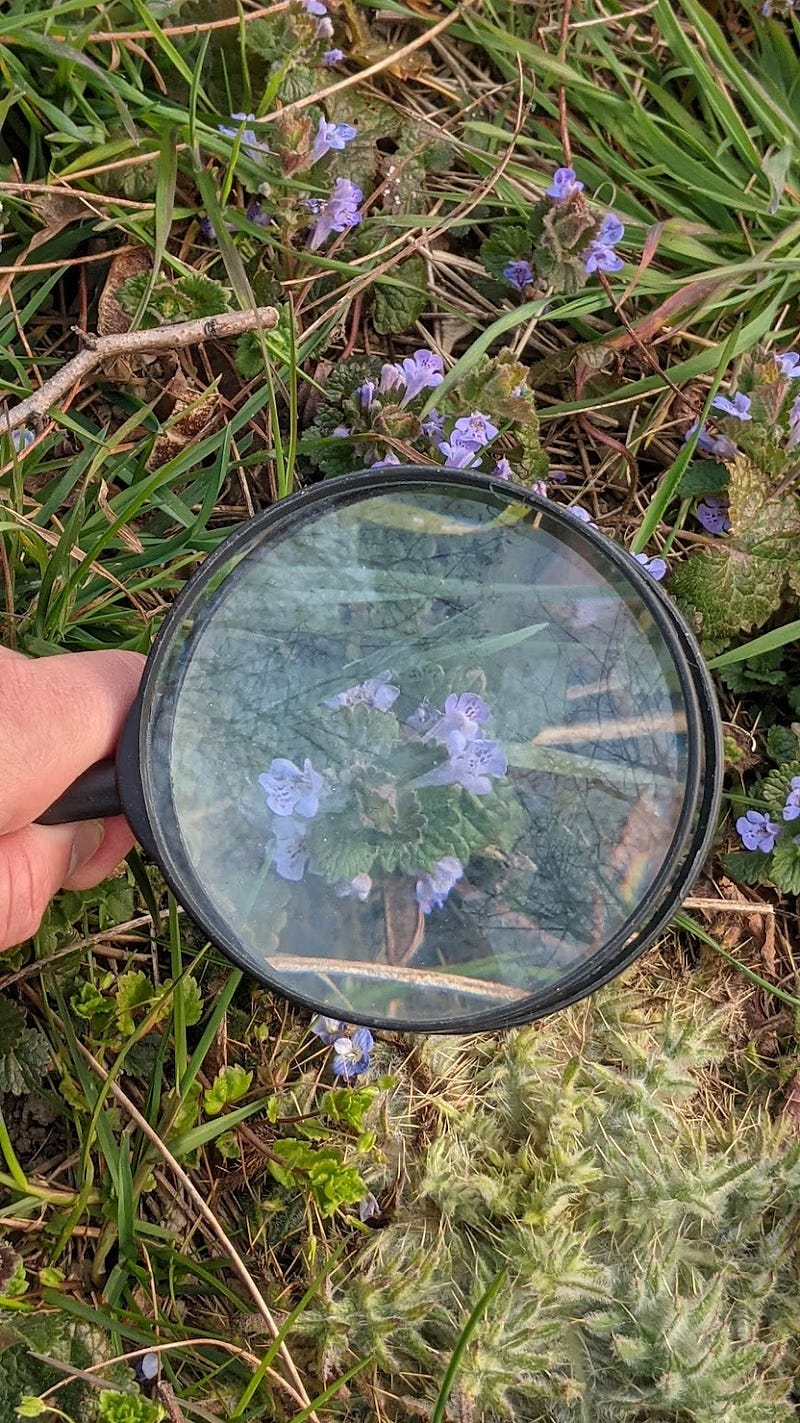 Another image showcasing the use of a magnifying glass.