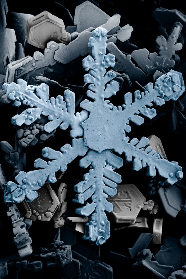 A detailed view of snowflakes