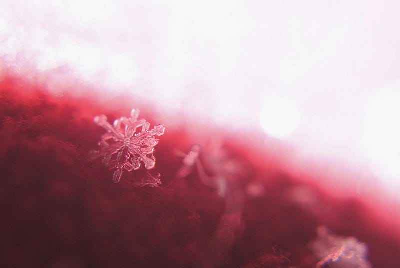 A close-up of snow crystals