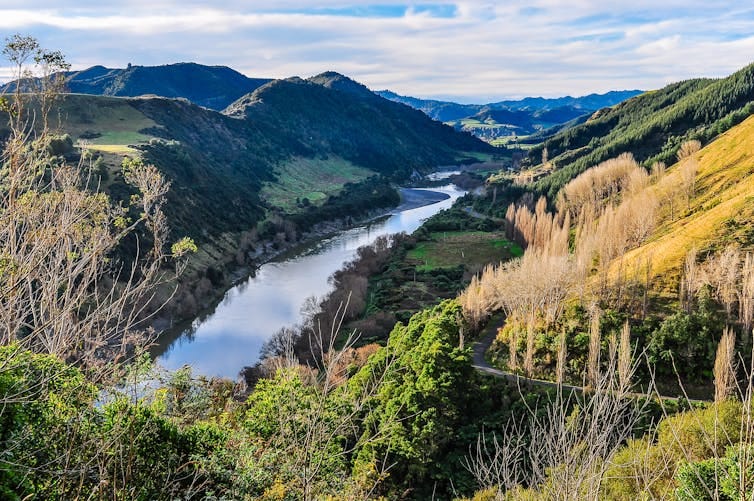 Scenic view of Whanganui River, New Zealand