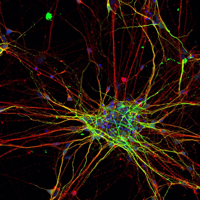 Nanoscale components resemble human neurons