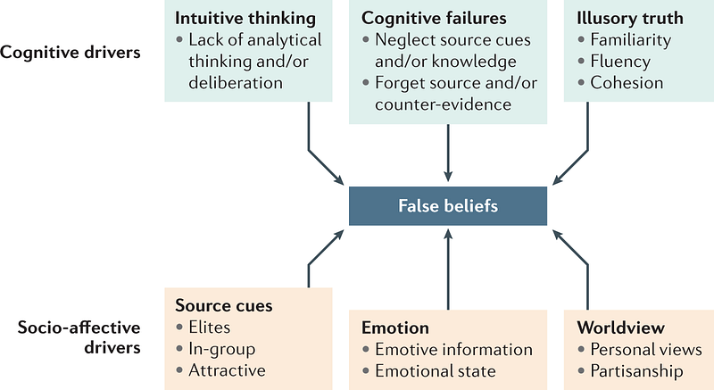 Cognitive and socio-affective factors in misinformation