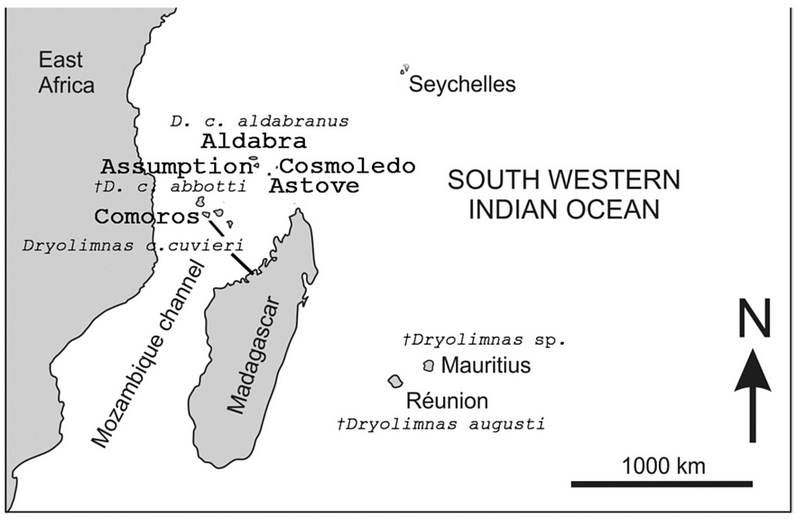 Distribution map of Dryolimnas species in the Indian Ocean