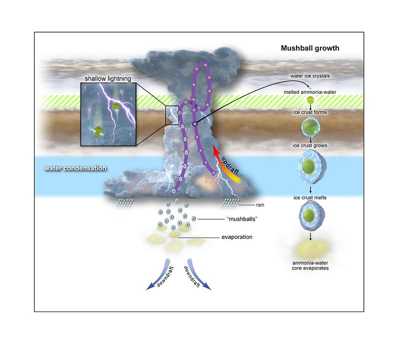 Evolutionary process of lightning and mushballs on Jupiter