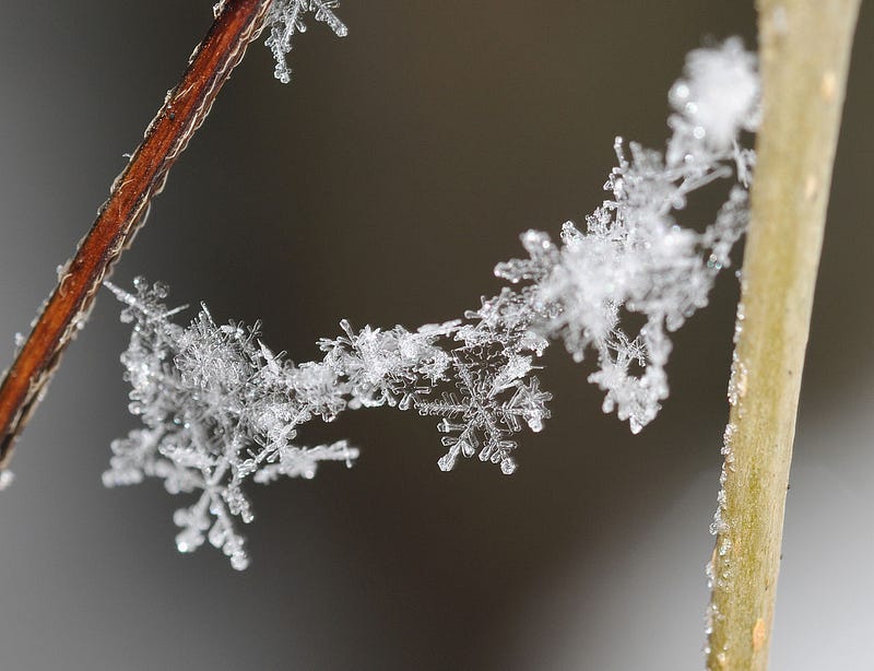 Snowflakes exemplify the beauty of nature.