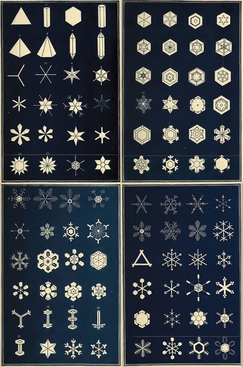 Early classification of snowflake types.