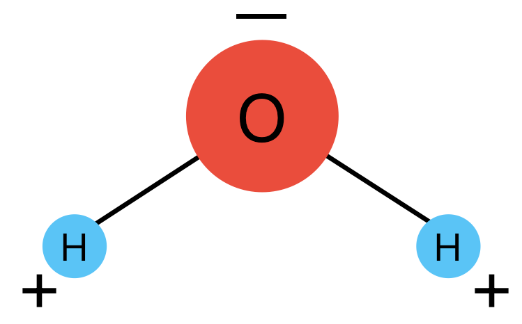 The molecular composition of water.