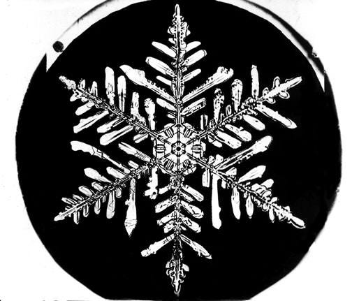 Even symmetrical snowflakes have subtle imperfections.