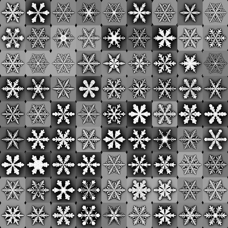 A simulation illustrating the diversity of snowflake designs.