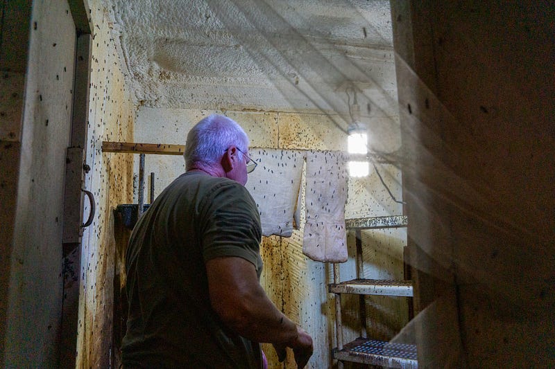 Doug Knippel inside his black soldier fly breeding room.